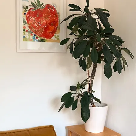 Hébergement de vacances De Juffenkamer *